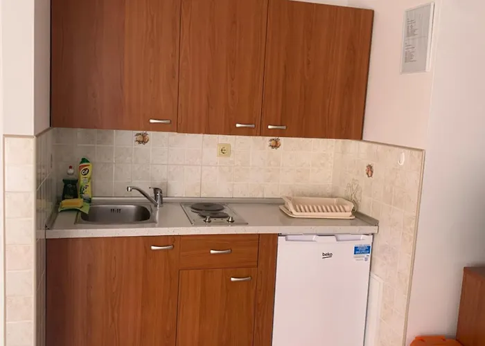 Apartment Ana Opatija